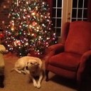 Cissy Welch - @cissywelch - Twitter