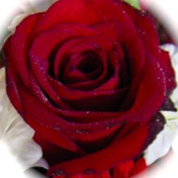 Ellie died 26 Aug 2001 but left an beautiful legacy : a quick recovery pathway from psychological imbalance ! 
Aussi en français :  http://t.co/Do0nlNtHJ3