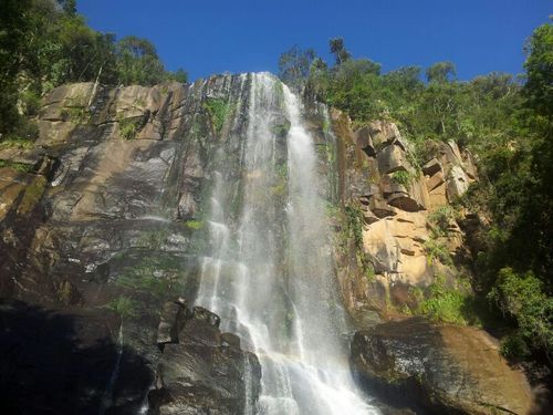 Tsamelo's profile picture. 