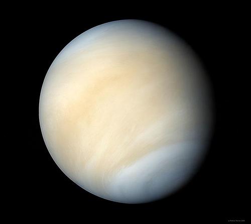 Venus Dispatches