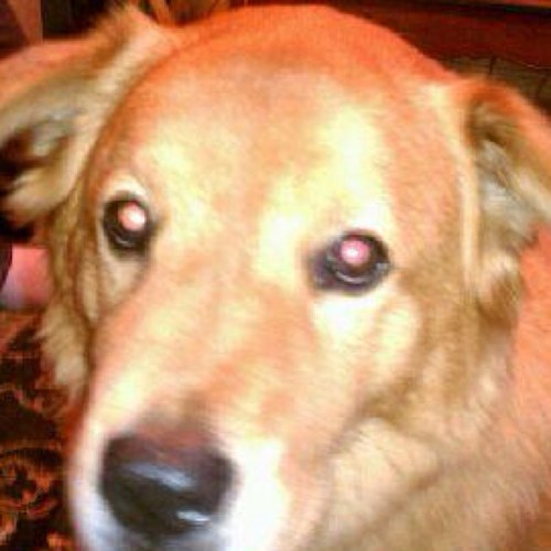 tstump44's profile picture. 