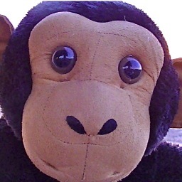 On a Mission to Rid the World of Insanity, One Chimp at a Time. Don't be a Chimp...Be a Champ™ BE the Change! http://t.co/OkMe4vTEae