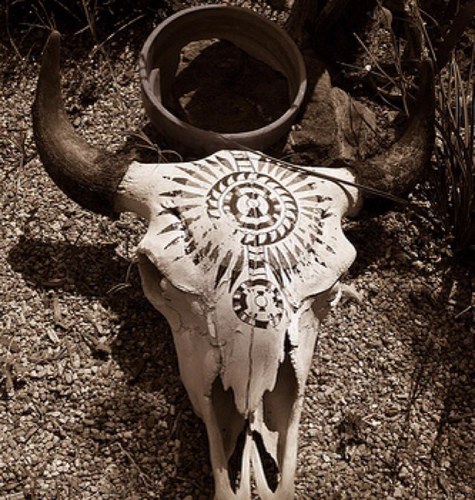 giddyup80's profile picture. Ramona and I live out in the heart of the Texas Hill Country. Check out our shop at http://t.co/iJQJXYOi or HillCountryCoop on Facebook.