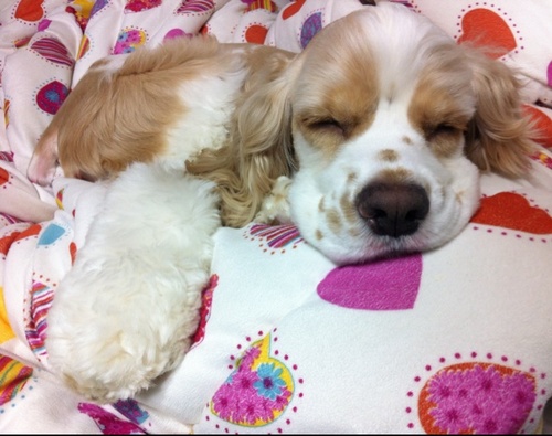 the_Eunny's profile picture. have some1 special. Marketing_fashion. education. consulting.