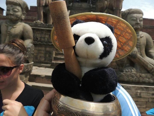 BadlPanda's profile picture. Death! Ride, ride to ruin and the world's ending!