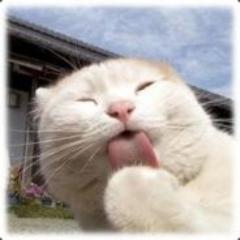 juliffe_kan's profile picture. 