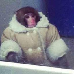 Everybody's got something to hide, except for me and my monkey