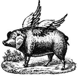 heypigsfly's profile picture. 