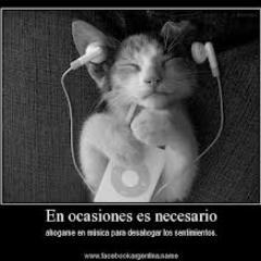 WinkyFranky's profile picture. soy sociable y extrovertido 
me encanta ir de antro y salir con mis amigos, escuchar buena música y dibujar