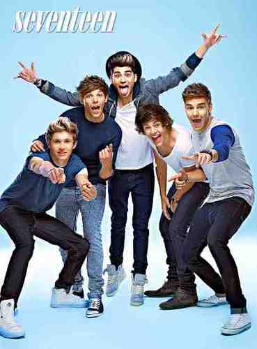 Hi. Directioners welcomed. Follow i follow back ;)
