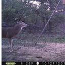 Jeff Baty - @JeffBaty - Twitter