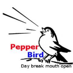 ThePepperBird's profile picture. Liberian search engine, searching all things Liberian.