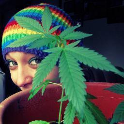 Stoner princess ♔ who gives no fucks. Single as fuck. Professional cosplayer. #instagram theprincessofpot #model #StonerKingdom #Jesusislove #GamerGirl