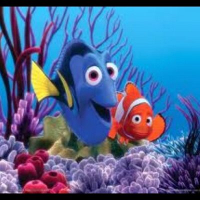 Finding Nemo Quotes Good Morning Everyone Todays The Day The Sun Is Shining The Tank Is Clean And We Are Getting Out Of The Tank Is Clean The Tank Is