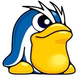 PINGAS