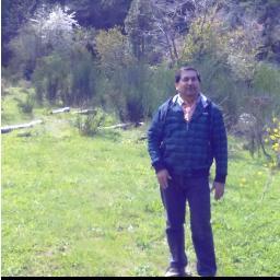lover of technology and ongoing research. I like the economy, SAP  and Business