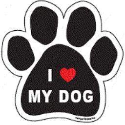 Amorpormiperro's profile picture. Todos sabemos, que no hay nada más incondicional y puro que el amor de los animales. Demos a ellos amor.