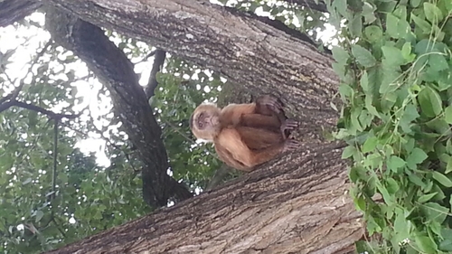 randyalexg's profile picture. 