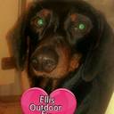 Kimberly Ellis - @bella20ellis - Twitter