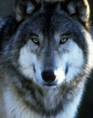 M_FeFi's profile picture. 