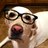 BsFD2141's profile image