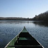 ExpertPirogue (@samcferran) 's Twitter Profile