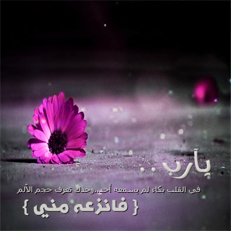 لما سُئل أحدُ السلفِ عن سببِ كثرةِ تسبيحه ، قالَ : إنما أسبحُ على قدرِ ذنبى . . . فكم يسبح كل واحد منا ؟ ونحن مسرفون في الذنوب