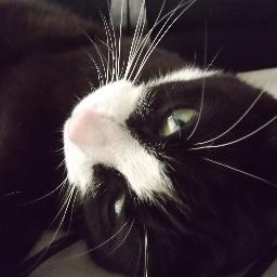 ghester24's profile picture. 