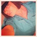 Ashley Allen (@brileybug) Twitter profile photo