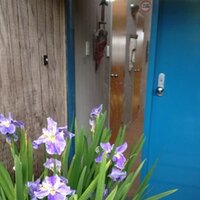 Sandra Tressler (@sandratressler) 's Twitter Profile