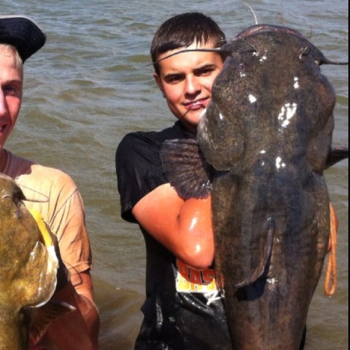 KarstynKayd's profile picture. 