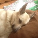 Gary Hoke - @ghoke17 - Twitter