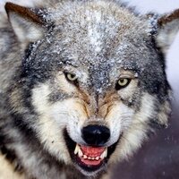 phil castillo (@itzphilkid) 's Twitter Profile
