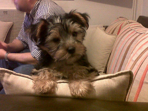 Ariel73Martinez's profile picture. Uno quiere y Dios dispone. La vida esta hecha para vivirla de a dos. Los hijos son la extensión de uno, mas mejorada. Vivir la vida, la tarea de todos los días.