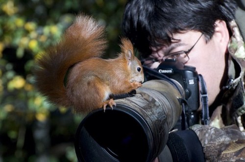 I have had a passion for wildlife and photography. I enjoy combining the two when the opportunity araises. I do post my images on Flickr.