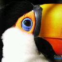 Gus Ibarra E. Photo - @smile_flash - Twitter