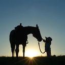 Carrie Singleton - @sccowgirl843 - Twitter