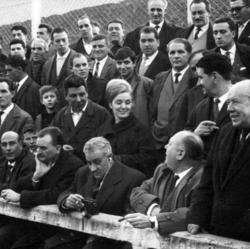 Natofilo's profile picture. 