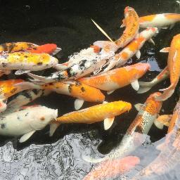 eva19_75's profile picture. Юристка, блондинка, люблю мужа и детей.http://t.co/xMtX6GJZBP