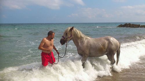 Horse surviving