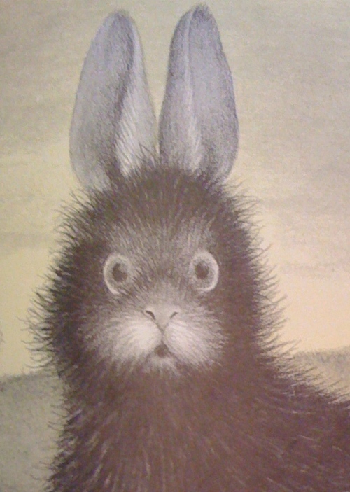 ponyoponyosan's profile picture. 自転車大好き