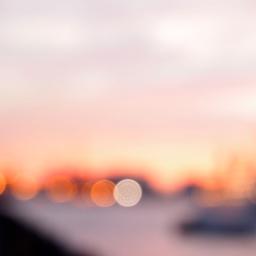 lillidisco's profile picture. 