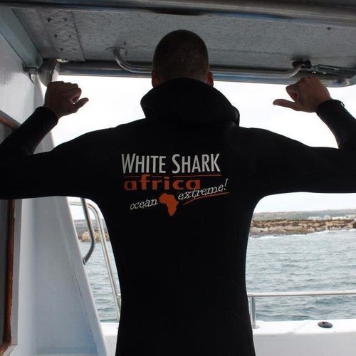 Nick Venmans Profile