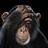 PacNelabais's profile image