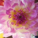 Ann Merrick - @lyrian76 - Twitter