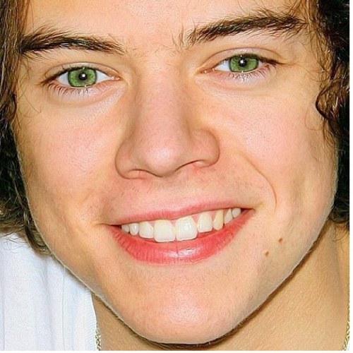 I love 1D sooo much! @WaliyhaMalik @Sashaamalik @2fa_Malik @DoniyaElisha @RuthPayne0990 @Aaroosa_M @Khany69 @_Emma_Horan_ follow!