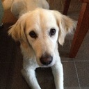 Tegan Stephens - @TeganStephens - Twitter