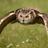 AlanJeffery4U's profile image