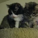 mimi kuo - @mimkuo0712 - Twitter