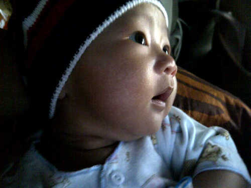 asfri19's profile picture. 